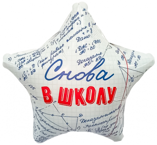 Шар Звезда, Снова в Школу