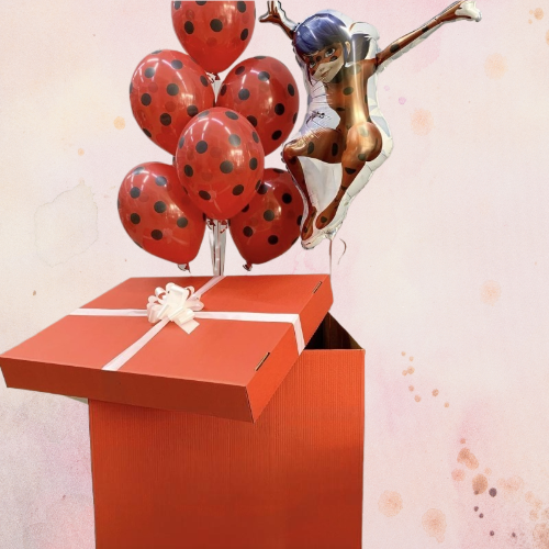 Коробка с шарами Леди Баг